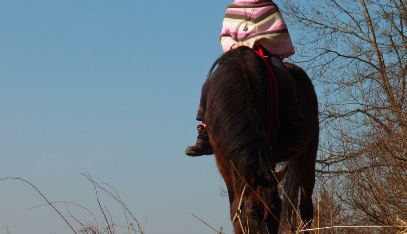 Penzion Hradisko Rožnov pod Radhoštěm